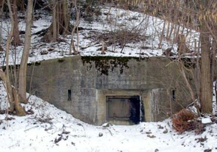 burg 6