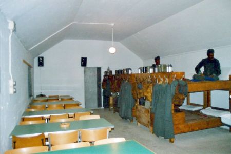 grynau 10