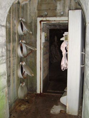 niederberg 8