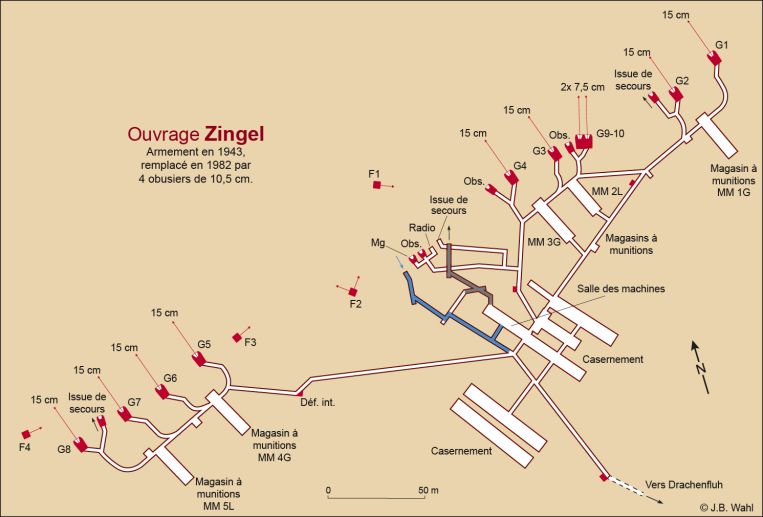 Zingel agr3