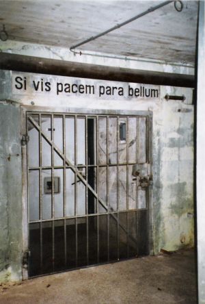 Ursprung Si vis pacem para bellum