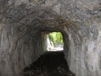 burgfluh 4