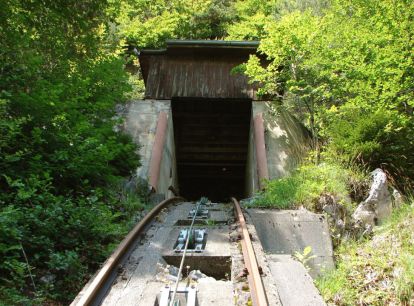 burgfluh 7