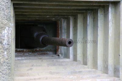 Canon47 photo8a