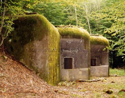 18---Bettlach---cte-d-artillerie