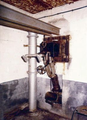 C3 6