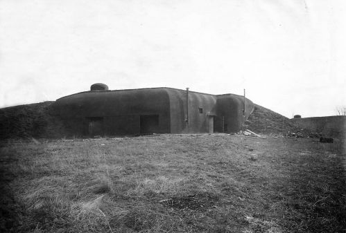 LMC 15
