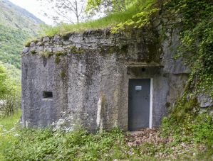 Isola 3 Ellena Cuny