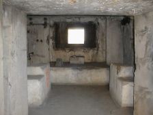 Willerwald 13 AALMA