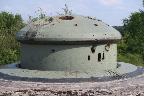 TM17